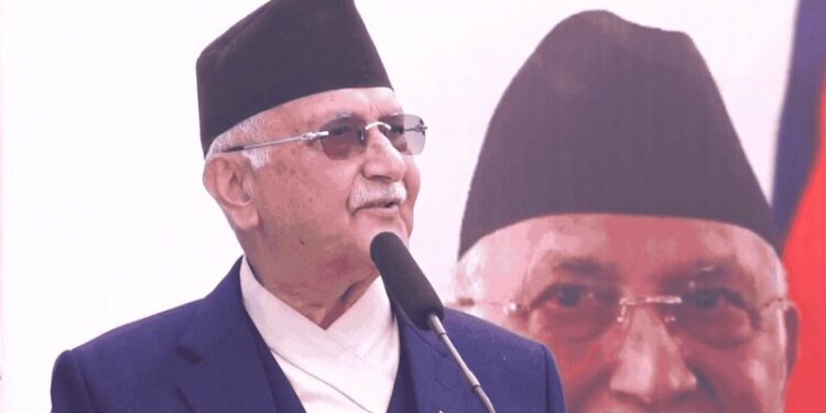 kp-oli news